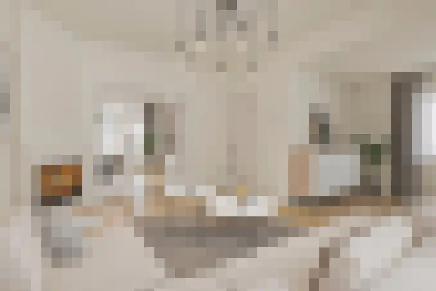 von Bönninghausenlaan 9 Lisse thumbnail 8