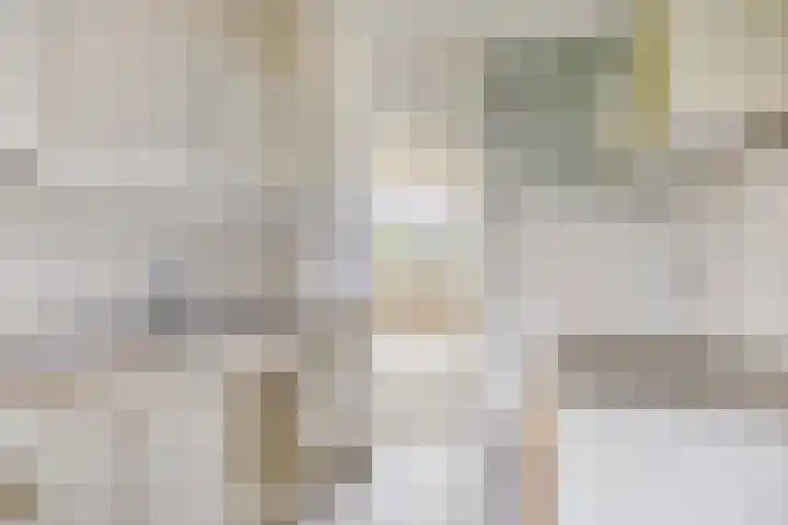 von Bönninghausenstraat 10 Borne thumbnail 11
