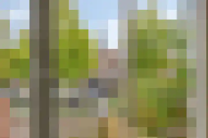 von Bönninghausenstraat 10 Borne thumbnail 22