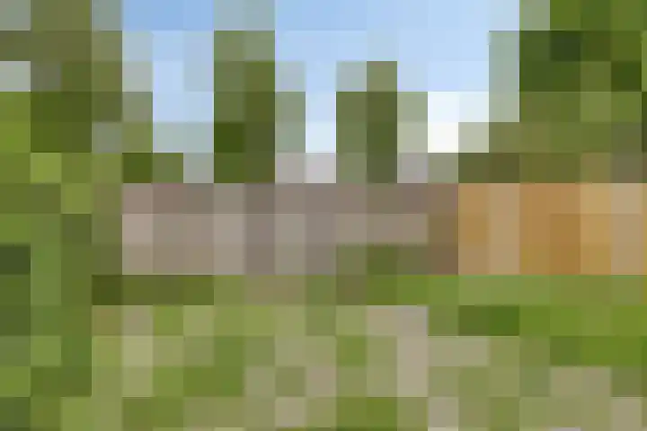 von Bönninghausenstraat 10 Borne thumbnail 28
