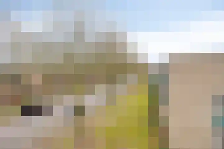 von Bönninghausenstraat 129 Borne thumbnail 31