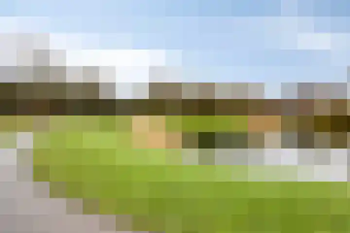 von Bönninghausenstraat 129 Borne thumbnail 37