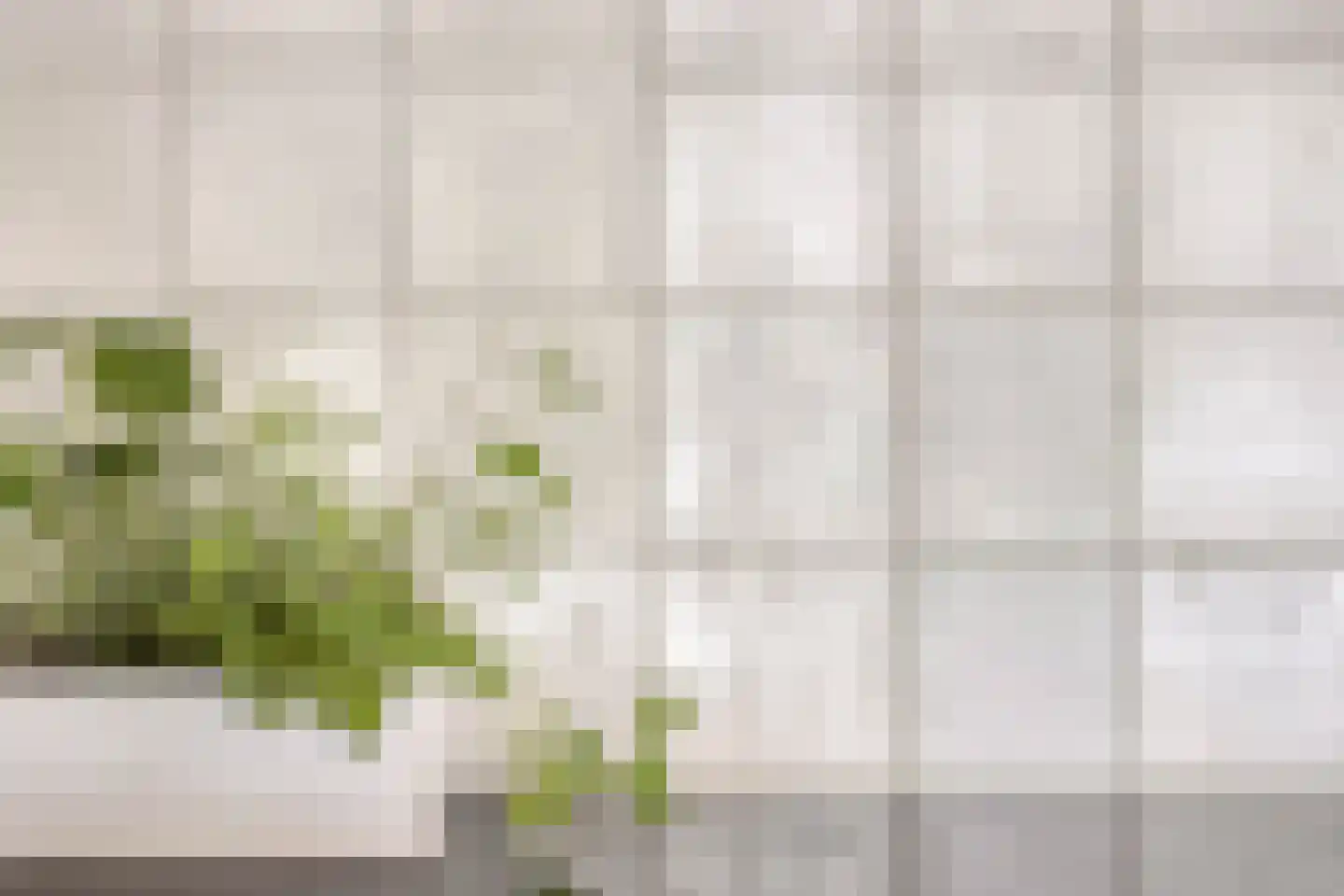 von Bönninghausenstraat 151 Borne thumbnail 21
