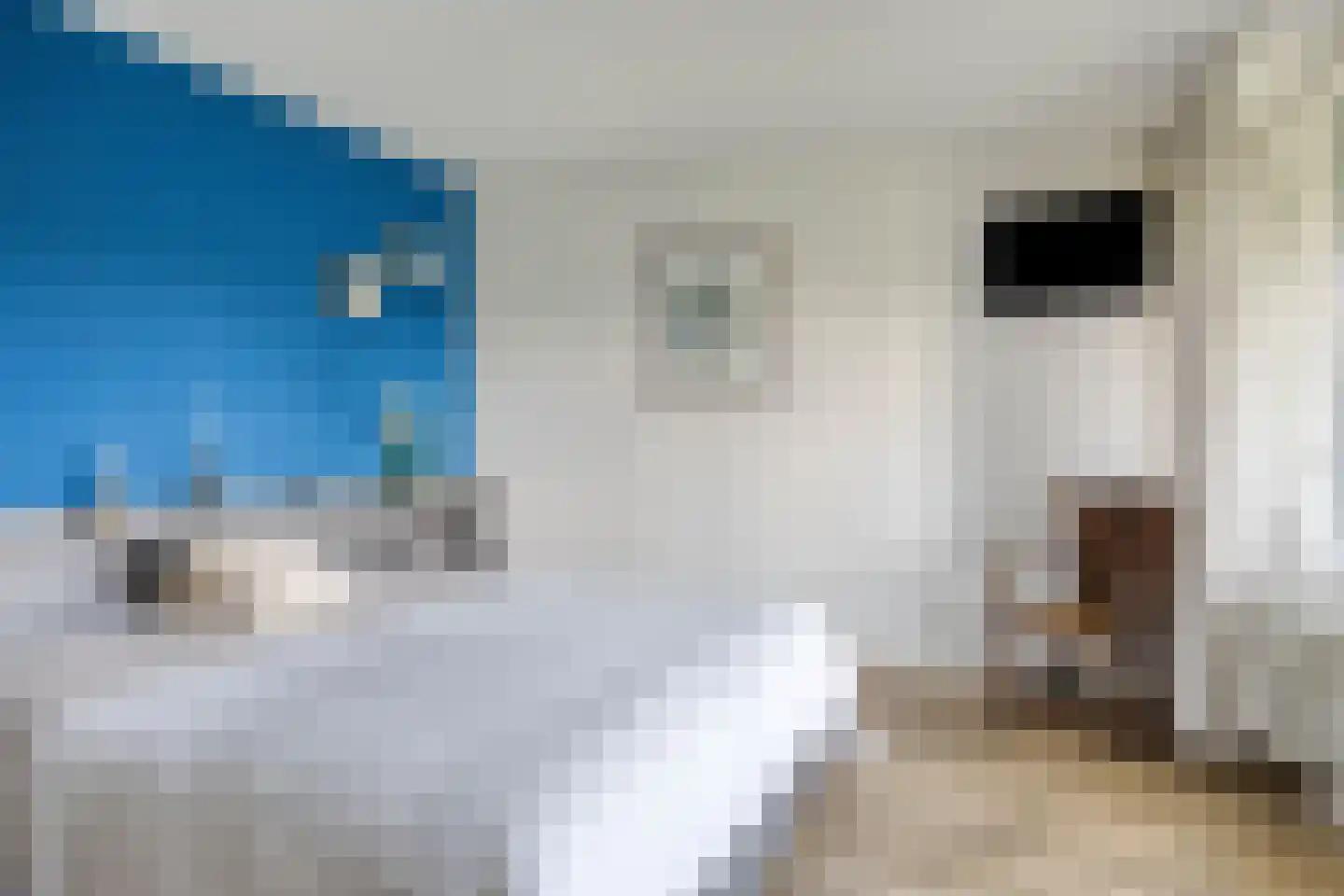von Bönninghausenstraat 151 Borne thumbnail 22