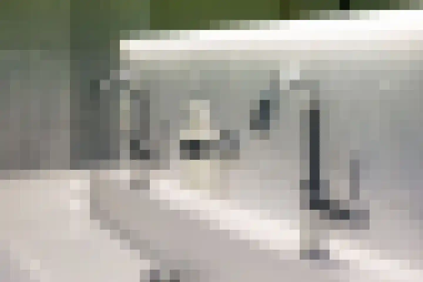 von Bönninghausenstraat 151 Borne thumbnail 27