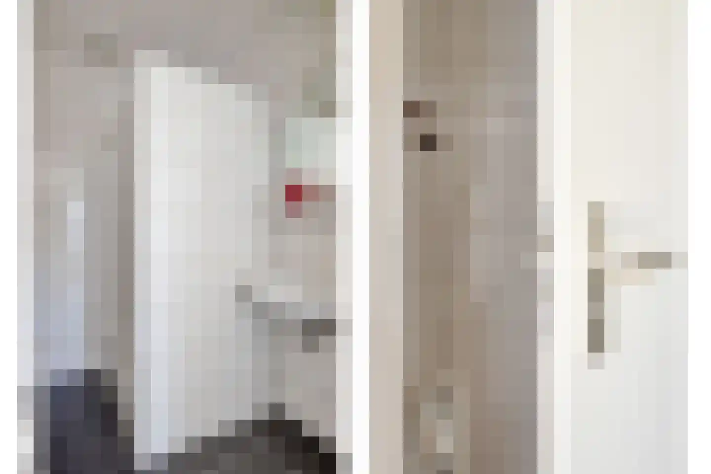 von Bönninghausenstraat 151 Borne thumbnail 29