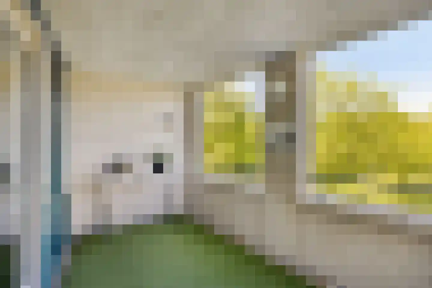 von Bönninghausenstraat 151 Borne thumbnail 31