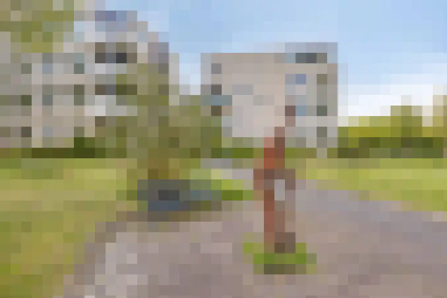 von Bönninghausenstraat 151 Borne thumbnail 36
