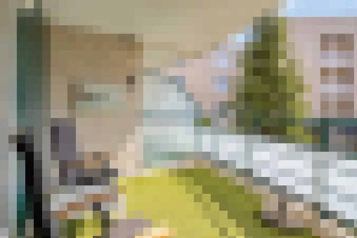 von Bönninghausenstraat 151 Borne thumbnail 6