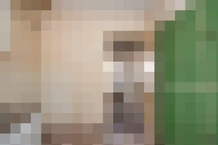 von Bönninghausenstraat 24 Borne thumbnail 12