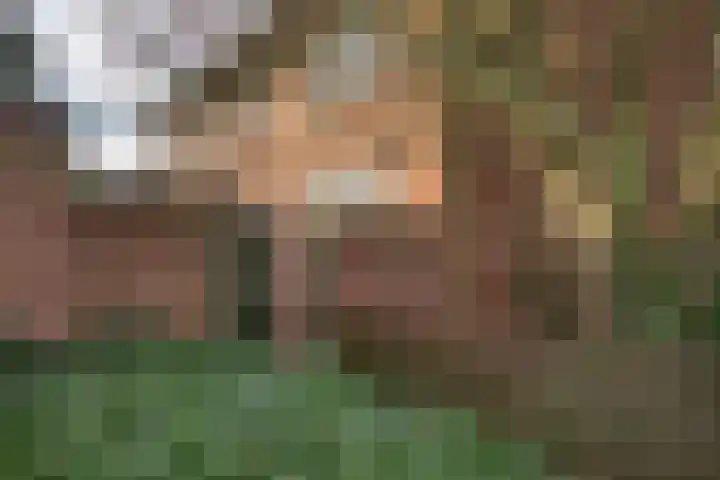 von Bönninghausenstraat 24 Borne thumbnail 22