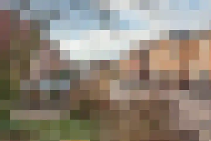 von Bönninghausenstraat 24 Borne thumbnail 23