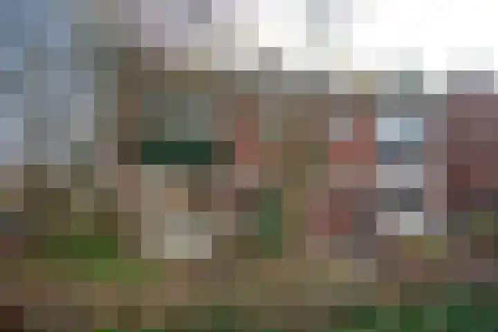 von Bönninghausenstraat 24 Borne thumbnail 27