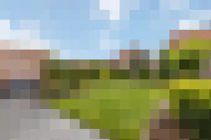 von Bönninghausenstraat 46 Borne thumbnail 16