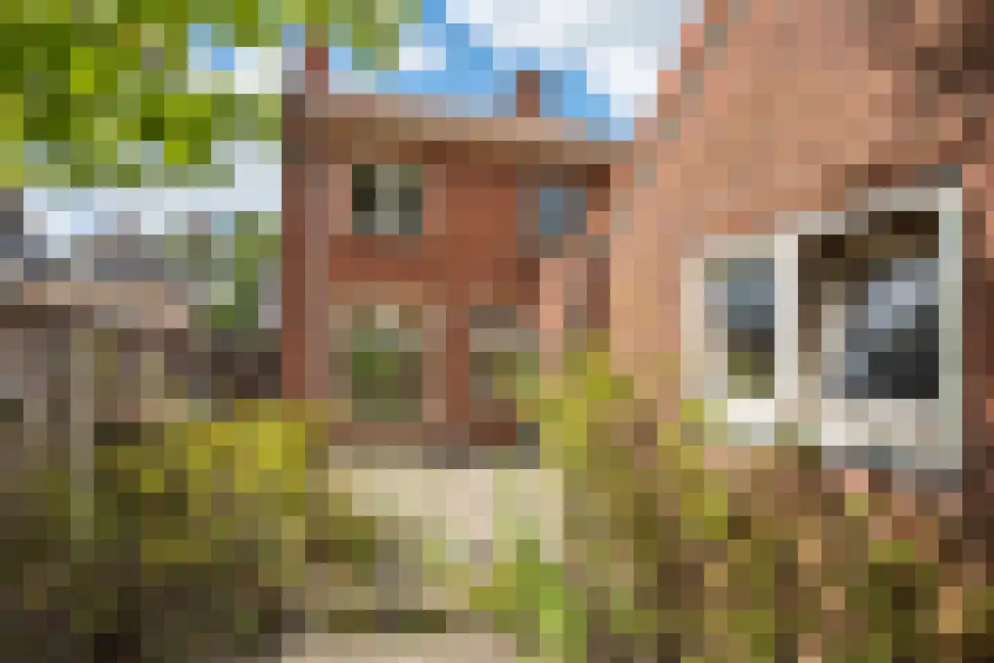 von Bönninghausenstraat 6 Borne thumbnail 18