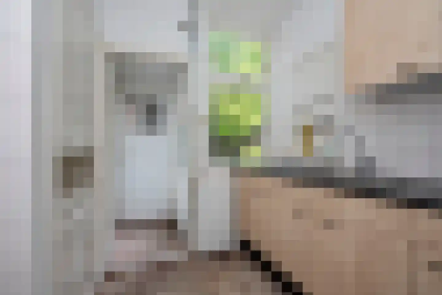 von Bönninghausenstraat 6 Borne thumbnail 6