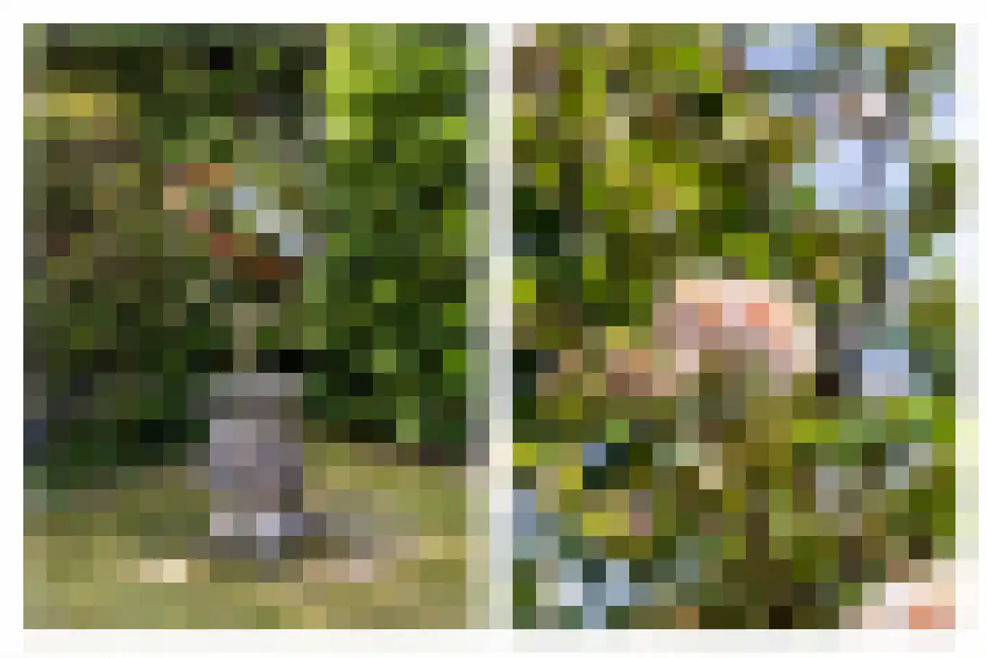Von Brucken Focklaan 37 Heemstede thumbnail 11