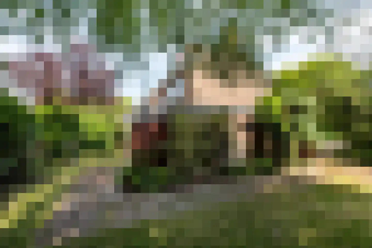 Von Brucken Focklaan 37 Heemstede thumbnail 12