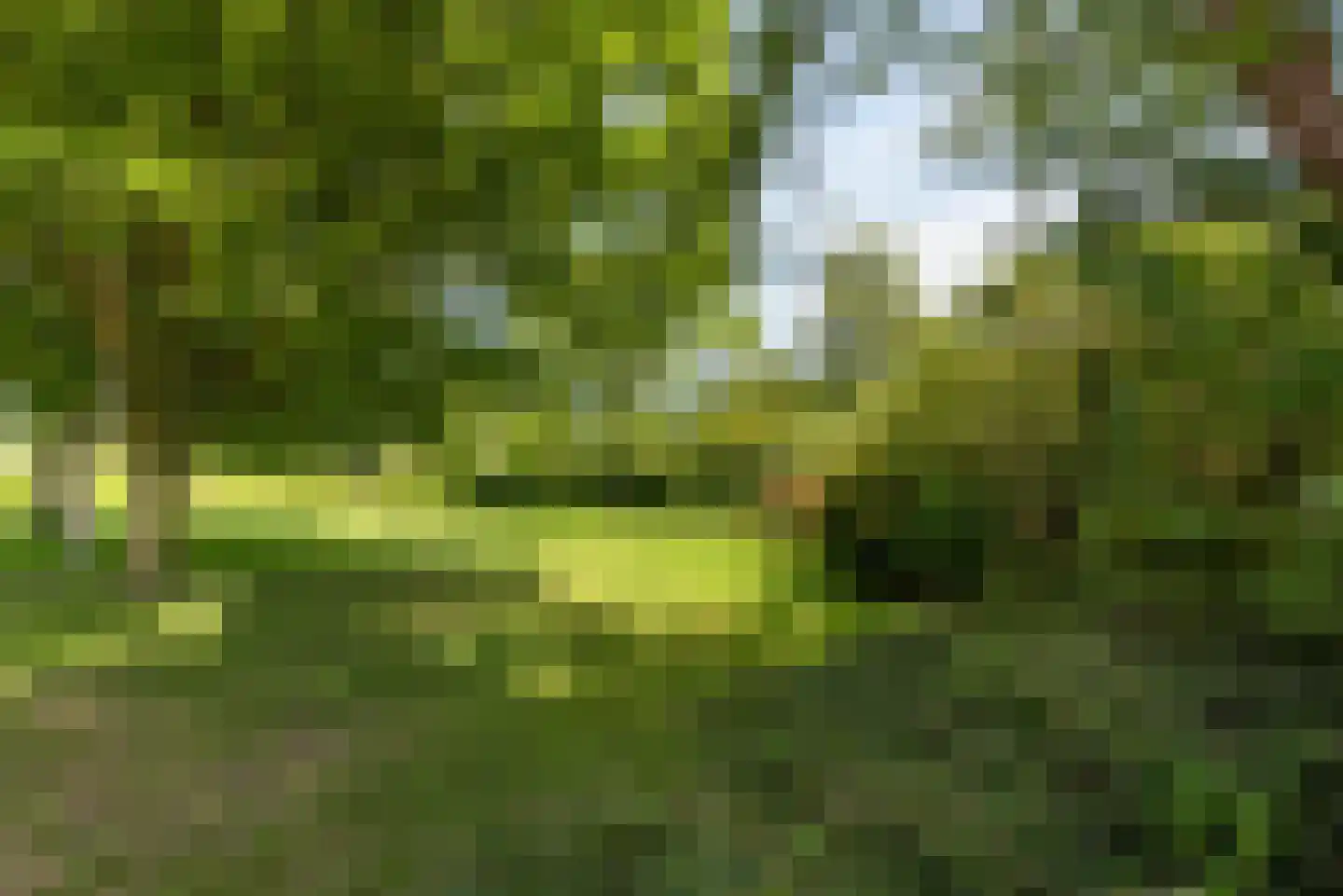 Von Brucken Focklaan 37 Heemstede thumbnail 23