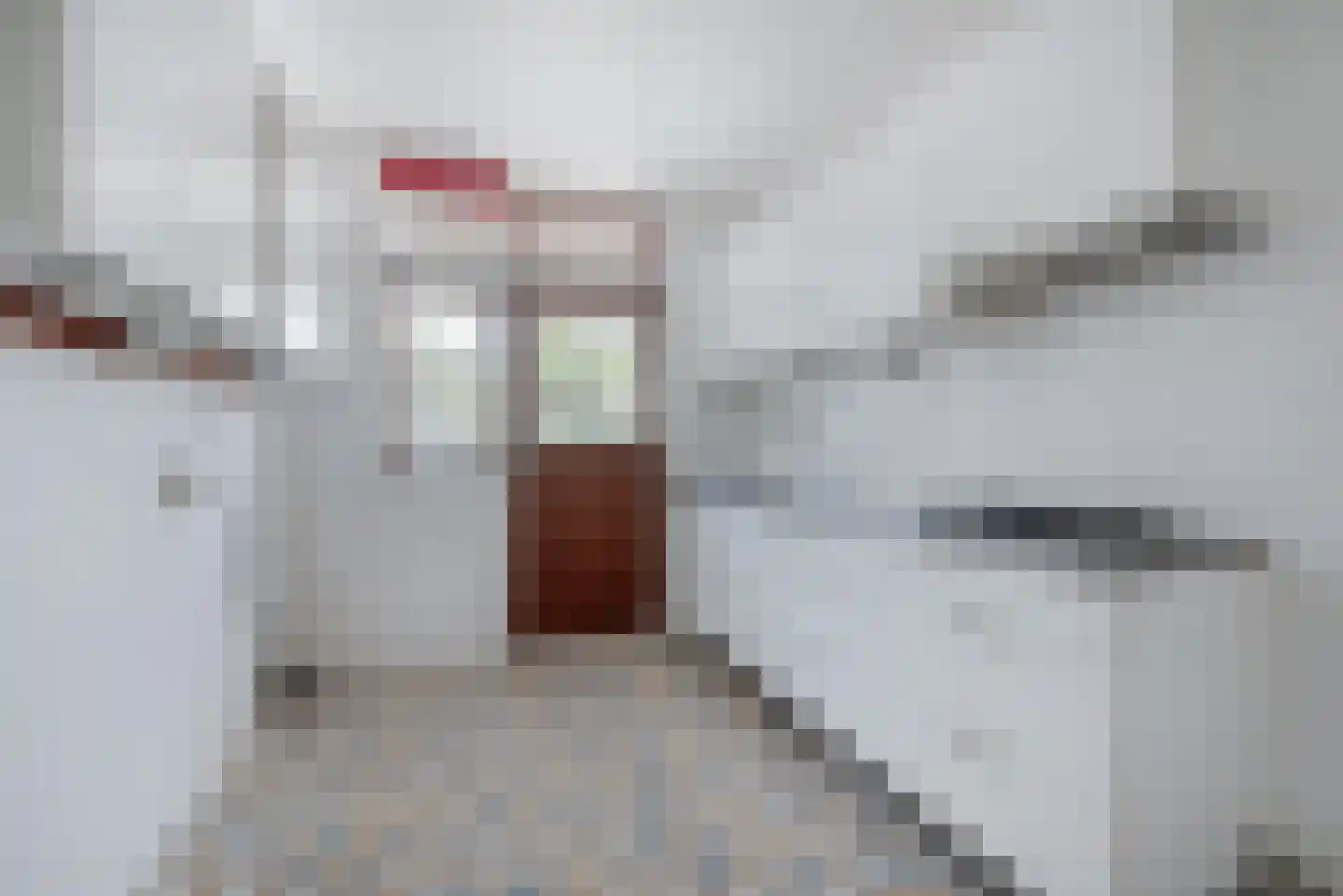Von Brucken Focklaan 37 Heemstede thumbnail 5