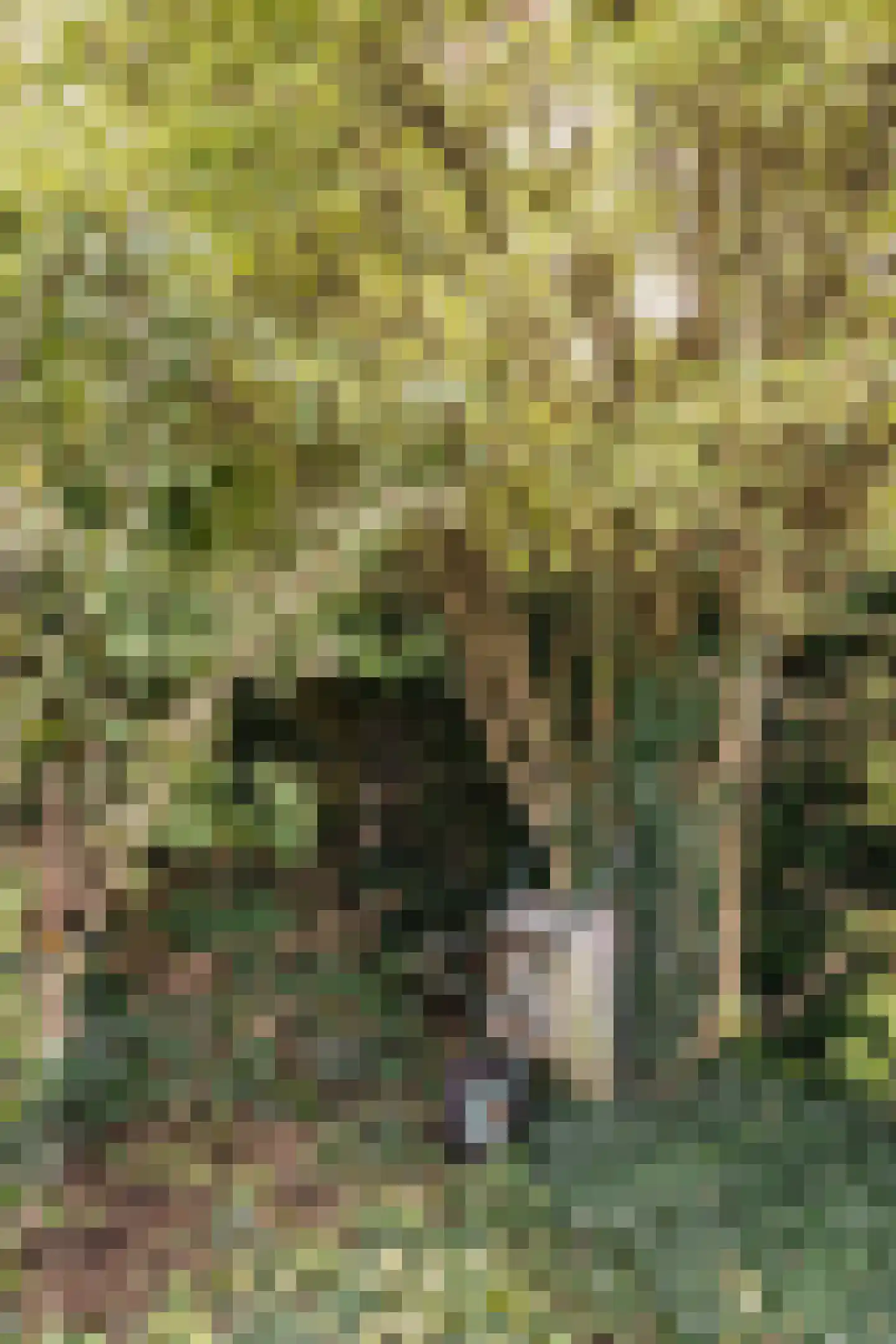 Von Brucken Focklaan 43 Heemstede thumbnail 32