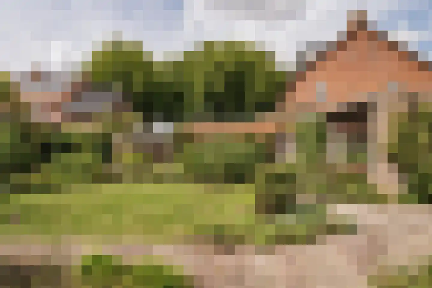 Von Brucken Focklaan 43 Heemstede thumbnail 36