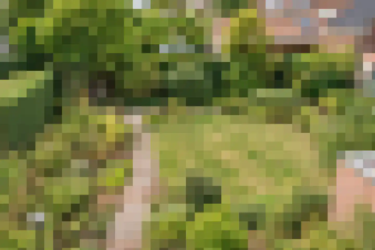 Von Brucken Focklaan 43 Heemstede thumbnail 4