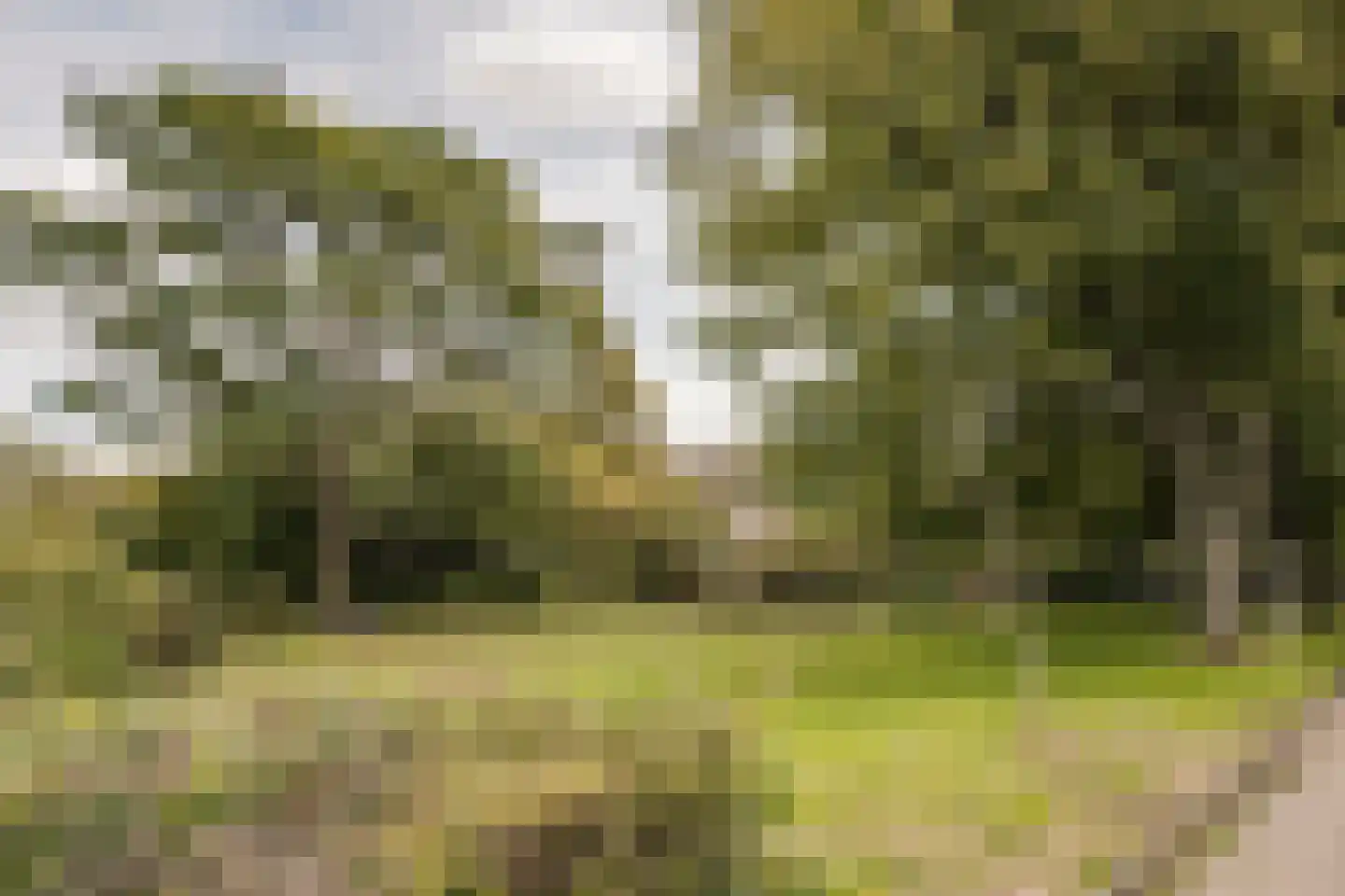 Von Brucken Focklaan 43 Heemstede thumbnail 40