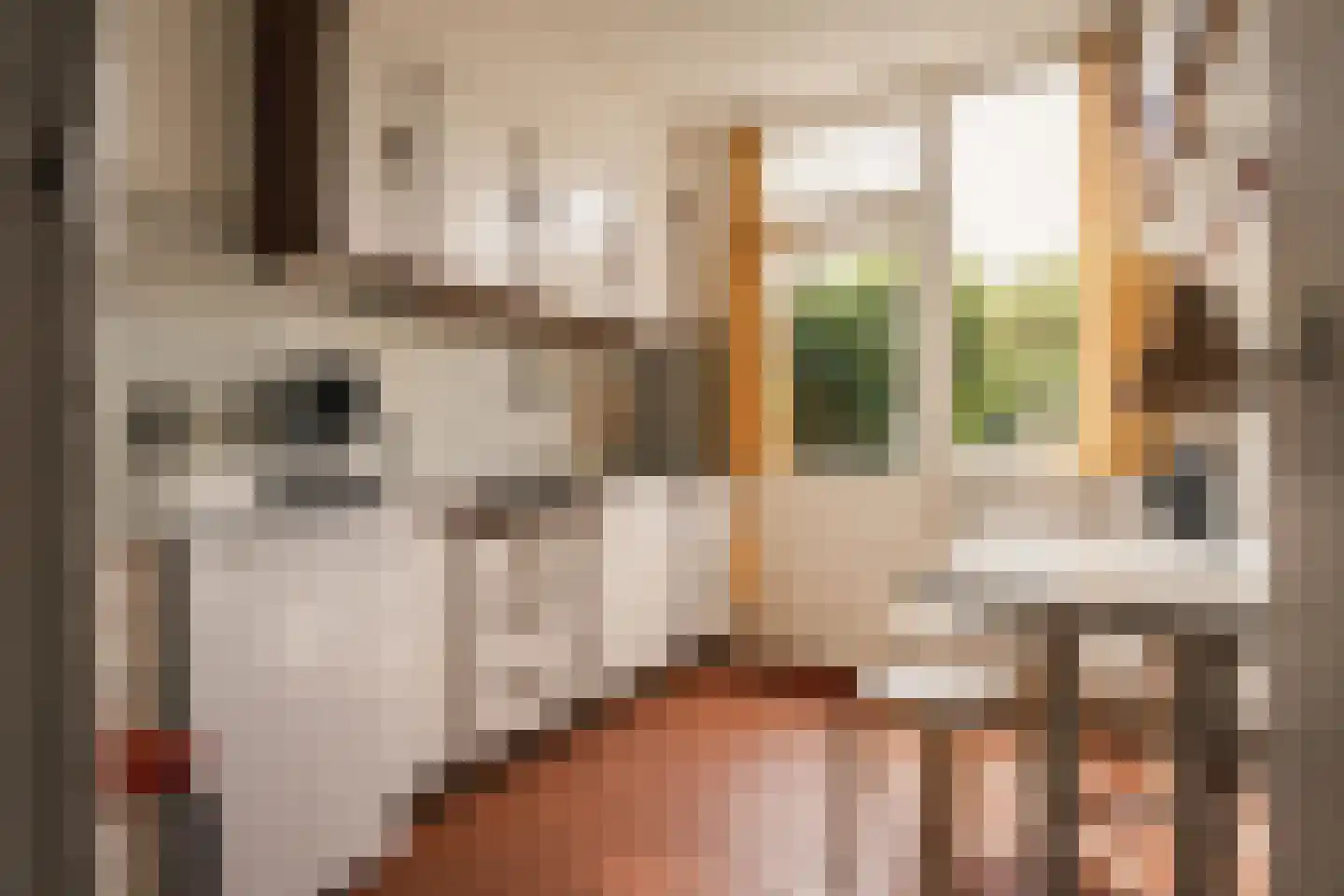 Von Brucken Focklaan 43 Heemstede thumbnail 8