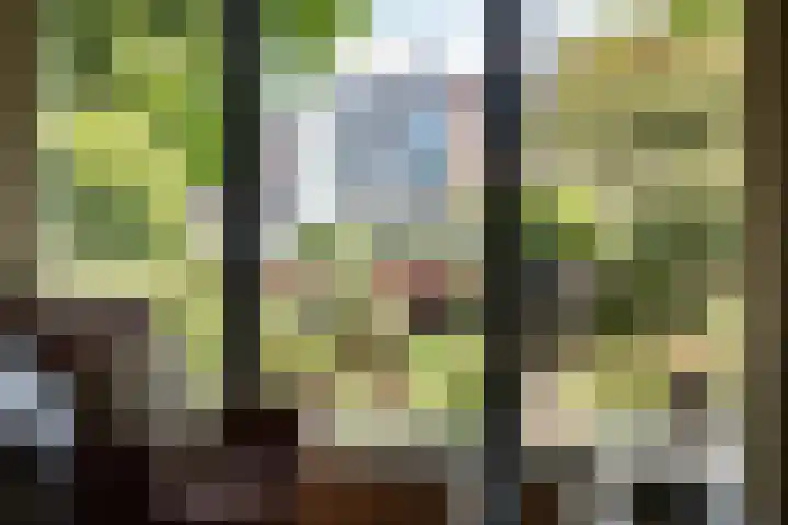 Von Brucken Focklaan 8 B Heemstede thumbnail 13