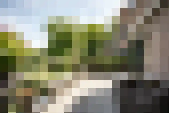 Von Brucken Focklaan 8 B Heemstede thumbnail 17