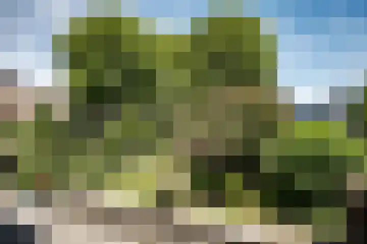 Von Brucken Focklaan 8 B Heemstede thumbnail 18