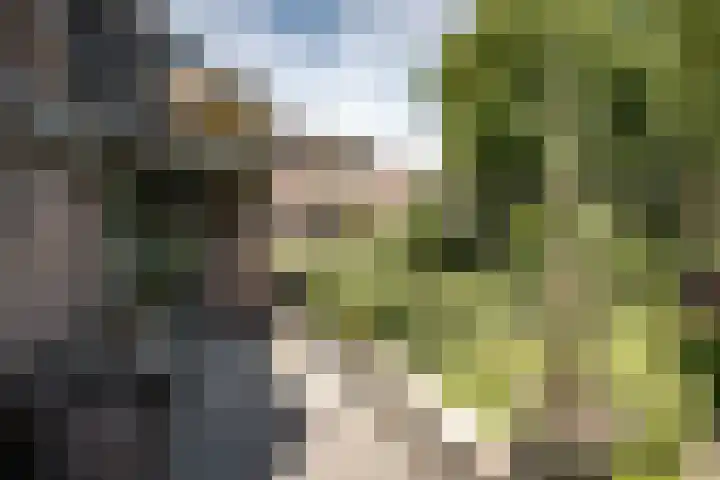 Von Brucken Focklaan 8 B Heemstede thumbnail 19