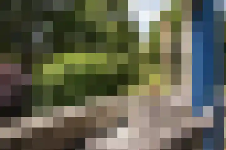 Von Brucken Focklaan 8 B Heemstede thumbnail 20