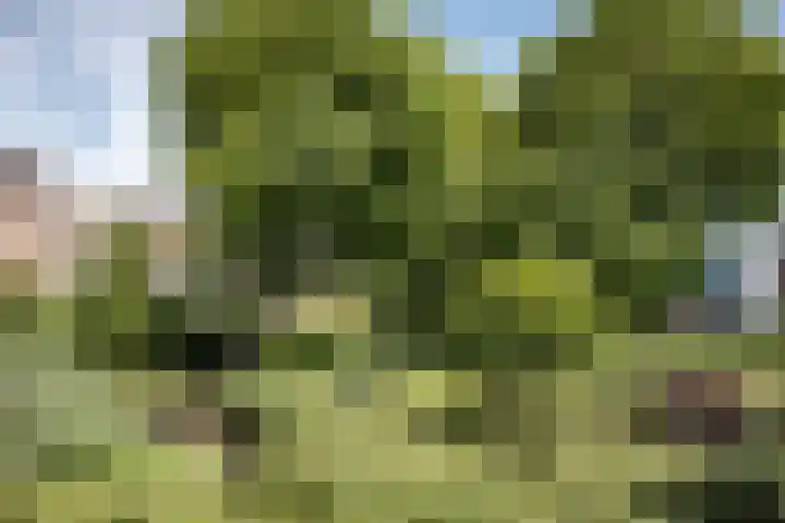 Von Brucken Focklaan 8 B Heemstede thumbnail 22