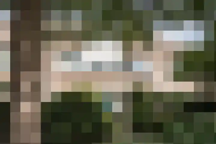 Von Brucken Focklaan 8 B Heemstede thumbnail 32