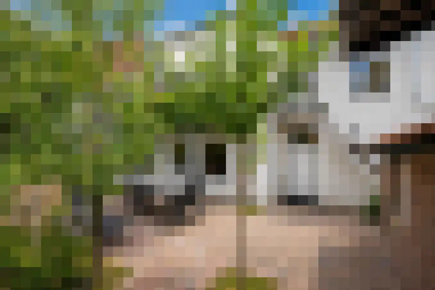 von Clermontplein 48 Vaals thumbnail 22