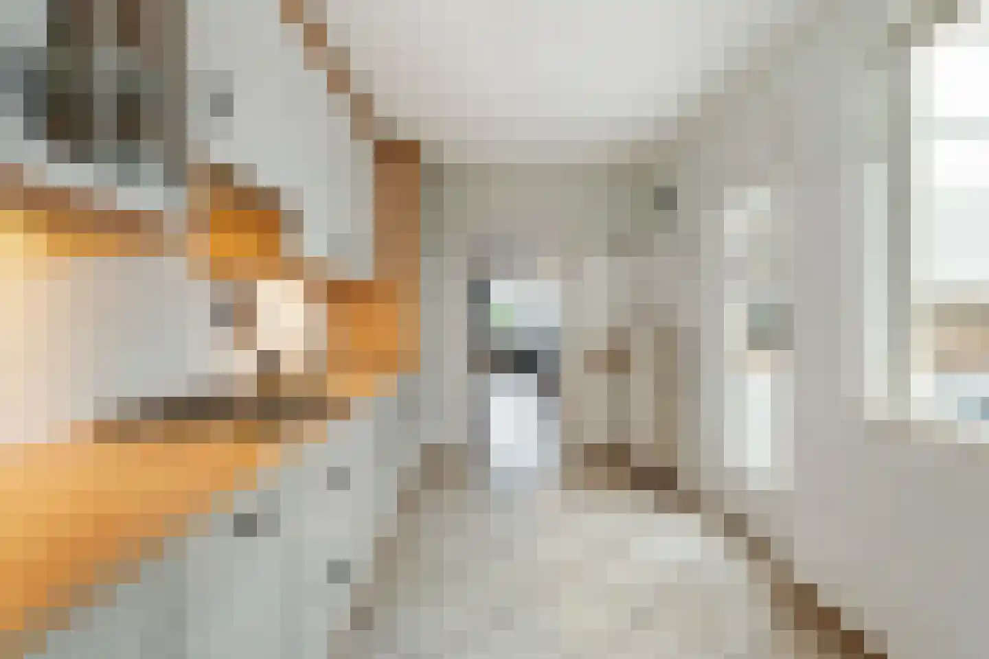 von Dopfflaan 11 Maastricht thumbnail 6
