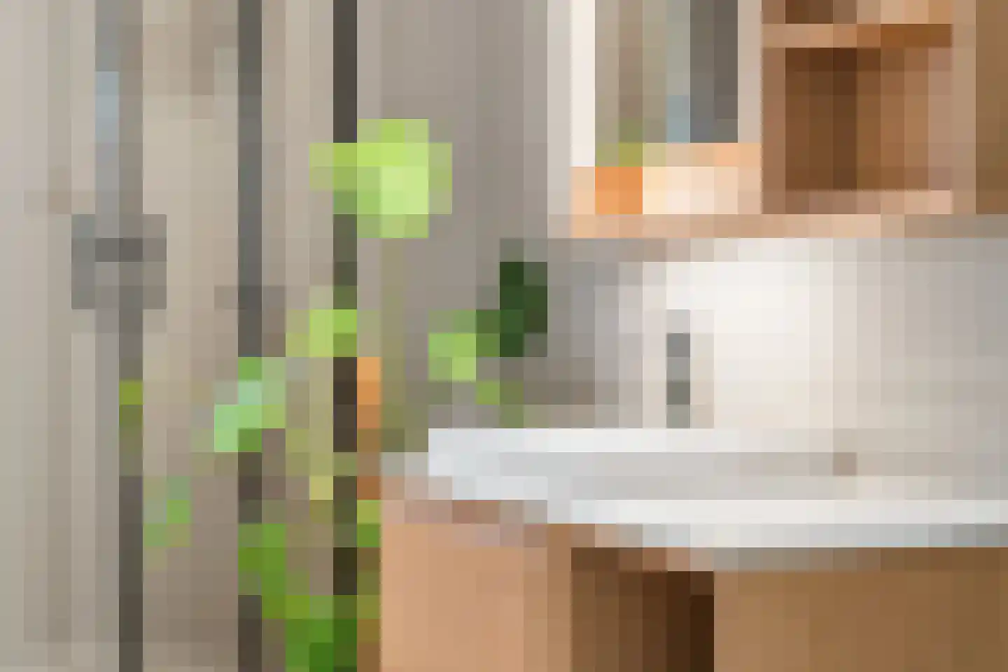 von Dopfflaan 11 Maastricht thumbnail 9