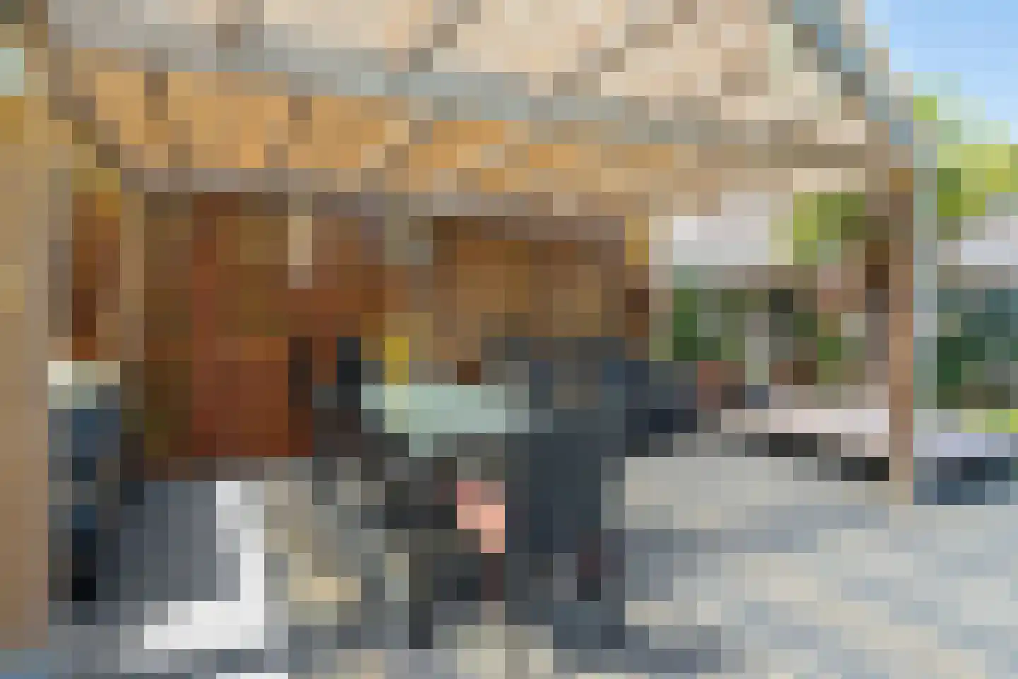 von Dopfflaan 23 Maastricht thumbnail 27