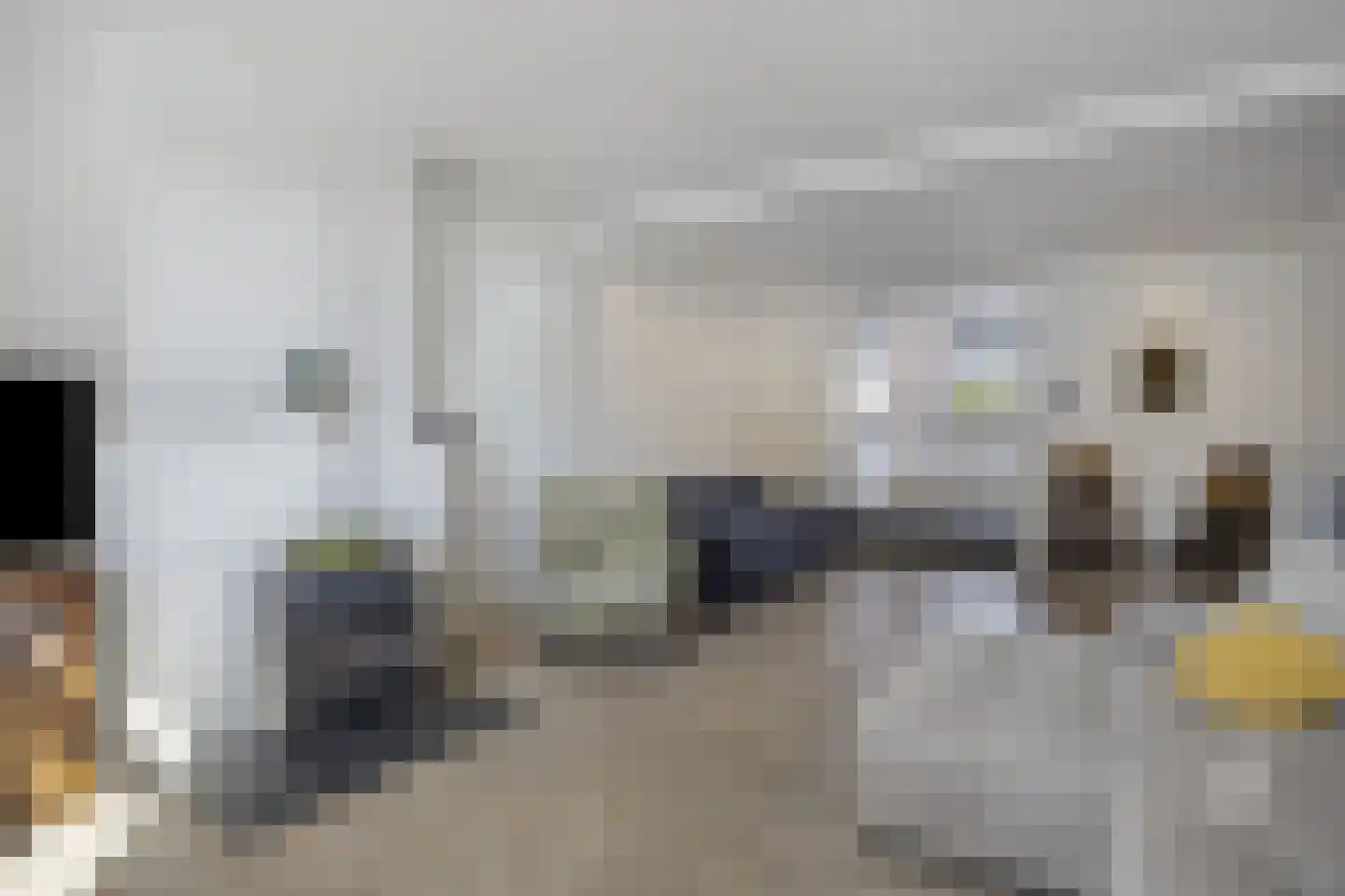 von Dopfflaan 26 Maastricht thumbnail 13