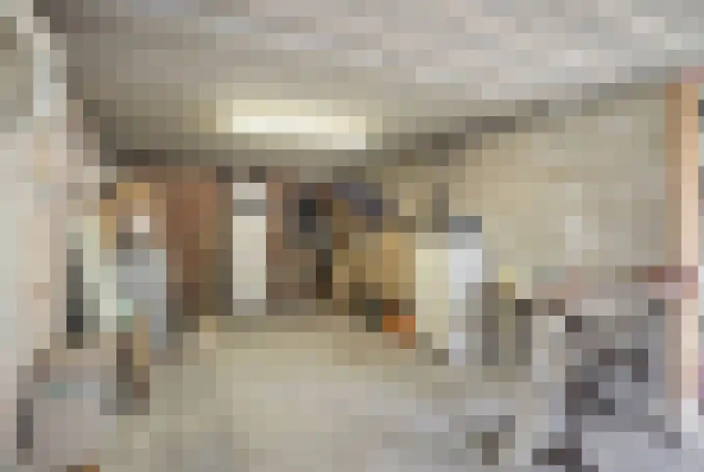 von Dopfflaan 26 Maastricht thumbnail 31