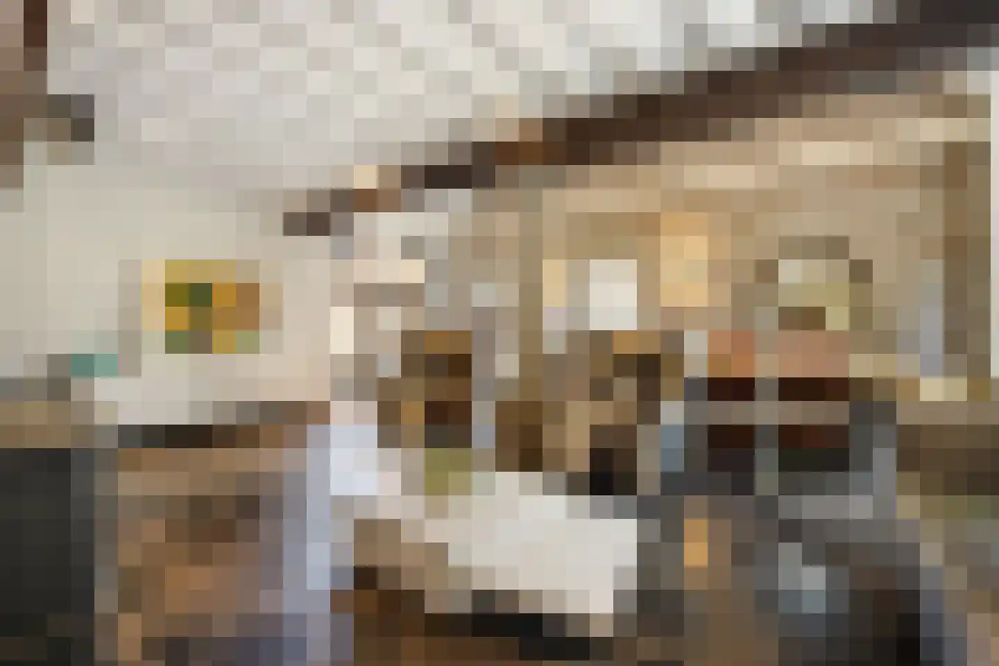 von Dopfflaan 44 Maastricht thumbnail 10