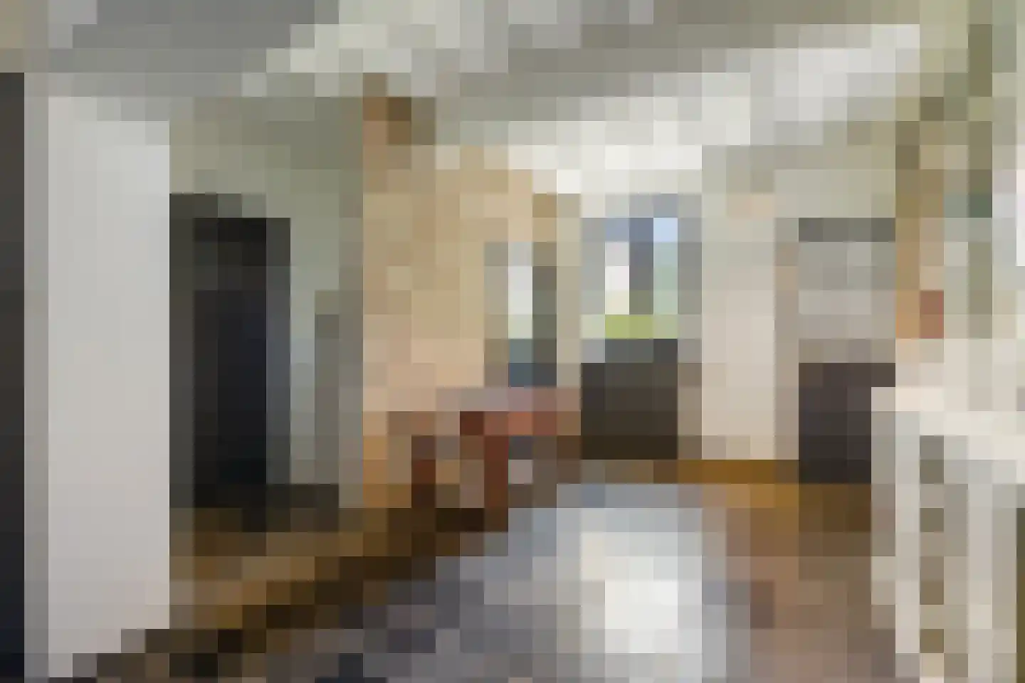 von Dopfflaan 44 Maastricht thumbnail 20