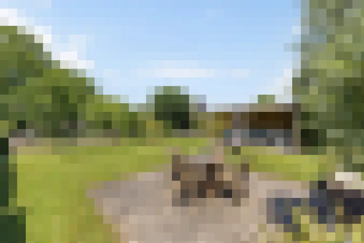 von Dopfflaan 44 Maastricht thumbnail 33