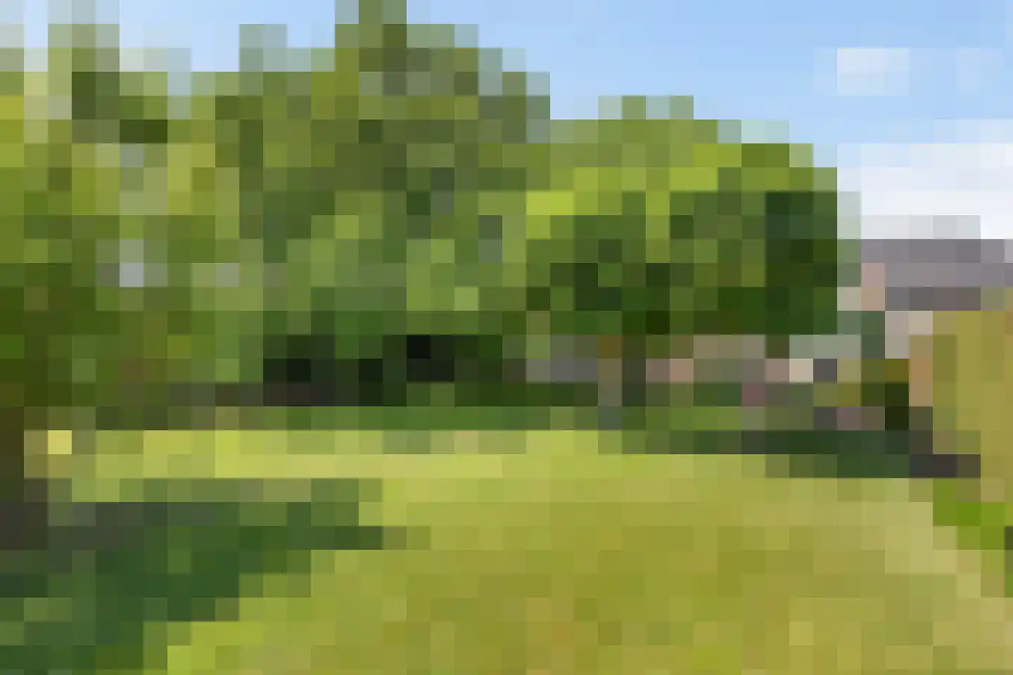 von Dopfflaan 44 Maastricht thumbnail 34