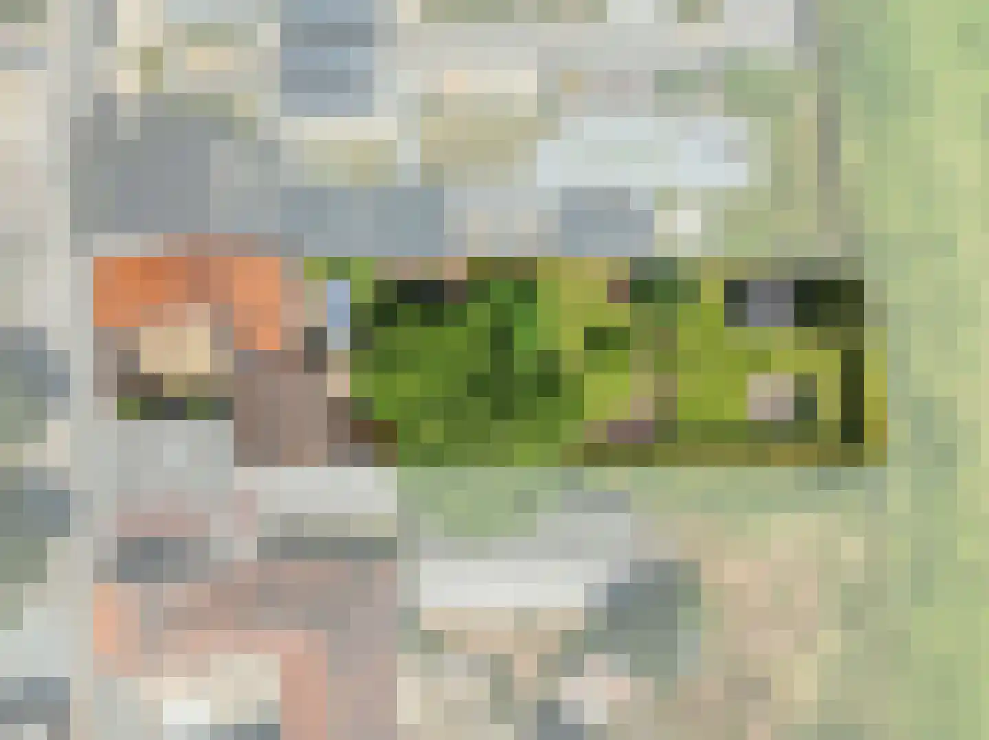 von Dopfflaan 44 Maastricht thumbnail 35