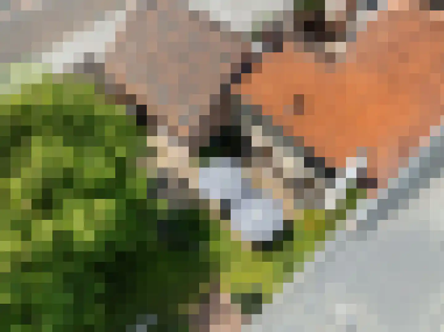 von Dopfflaan 44 Maastricht thumbnail 37