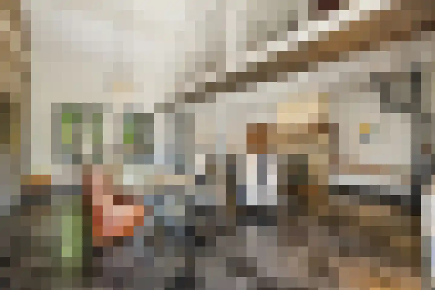 von Dopfflaan 44 Maastricht thumbnail 8