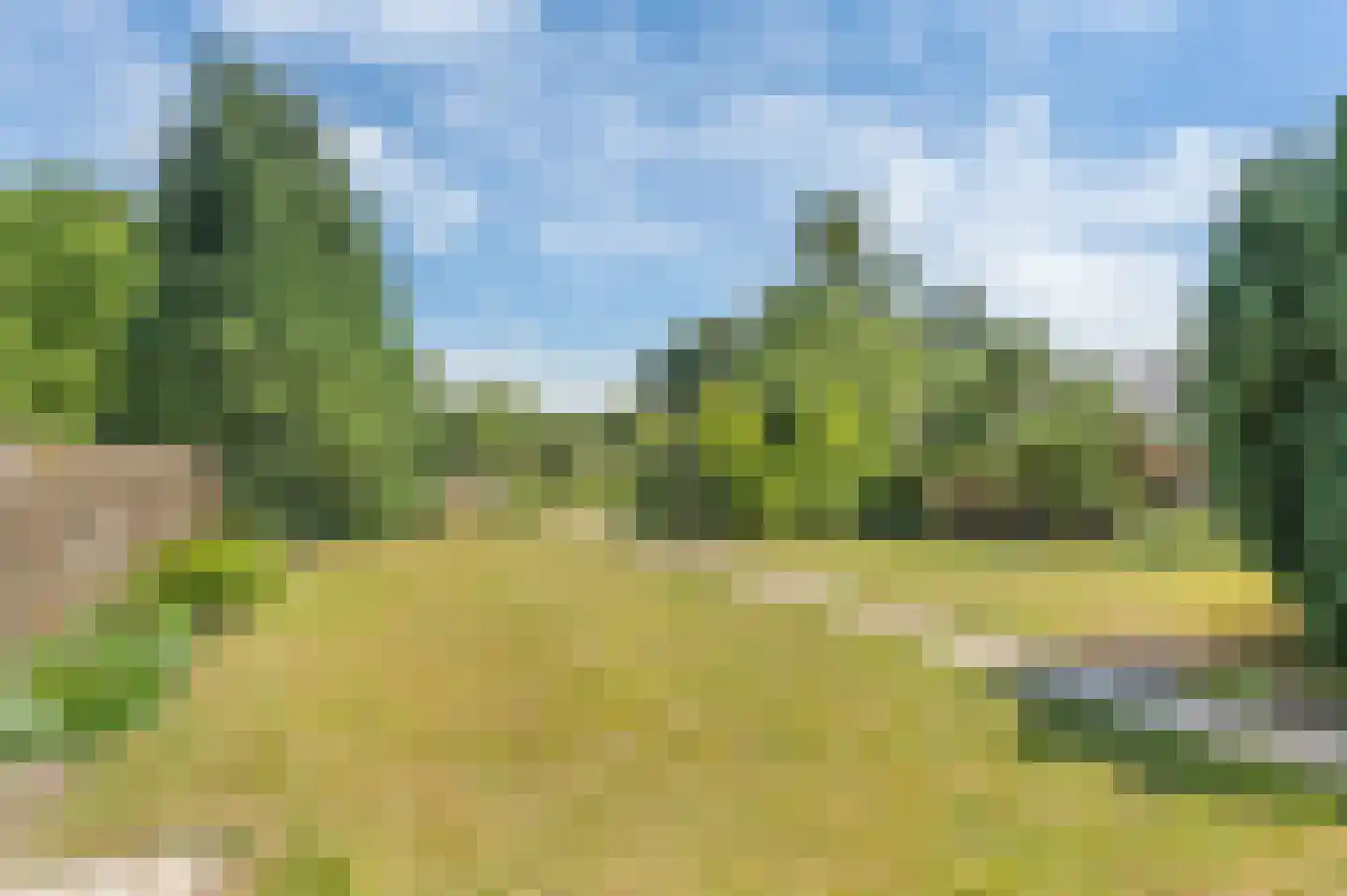 von Dopfflaan 51 Maastricht thumbnail 36